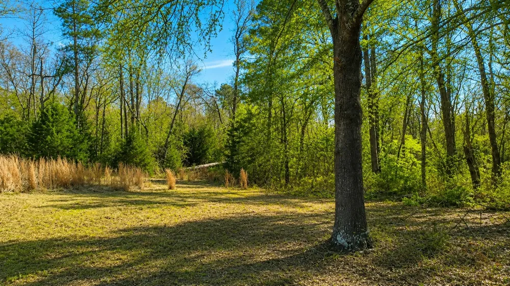 562 CR 4430 Winnsboro, TX 75494