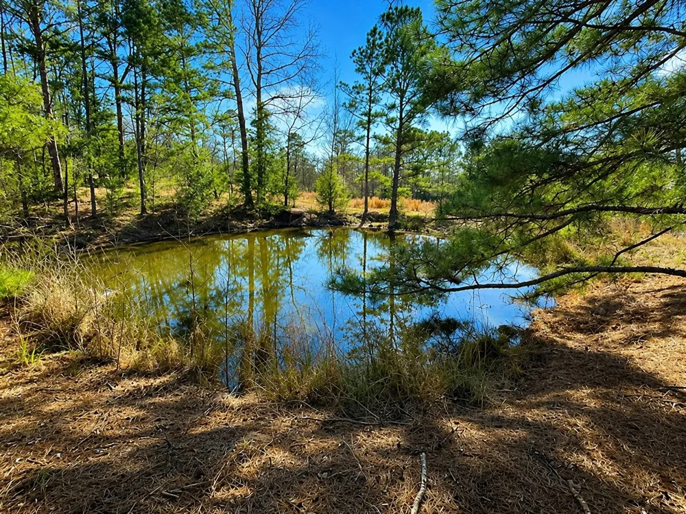 562 CR 4430 Winnsboro, TX 75494