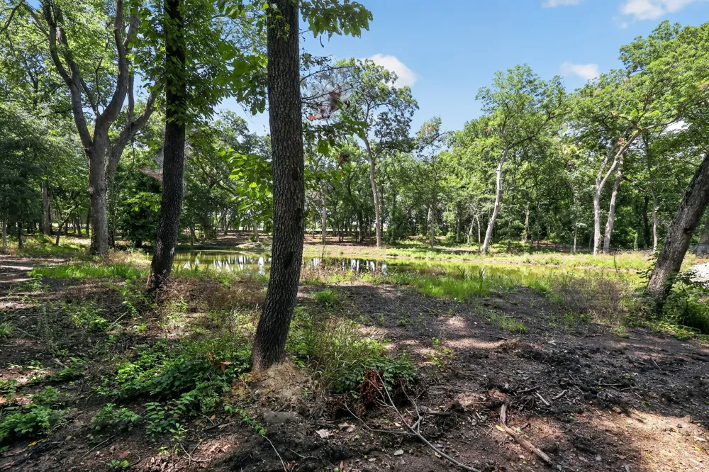 Willy Vester Off Of Road Van Alstyne, TX 75495