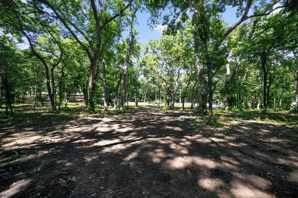 Willy Vester Off Of Road Van Alstyne, TX 75495