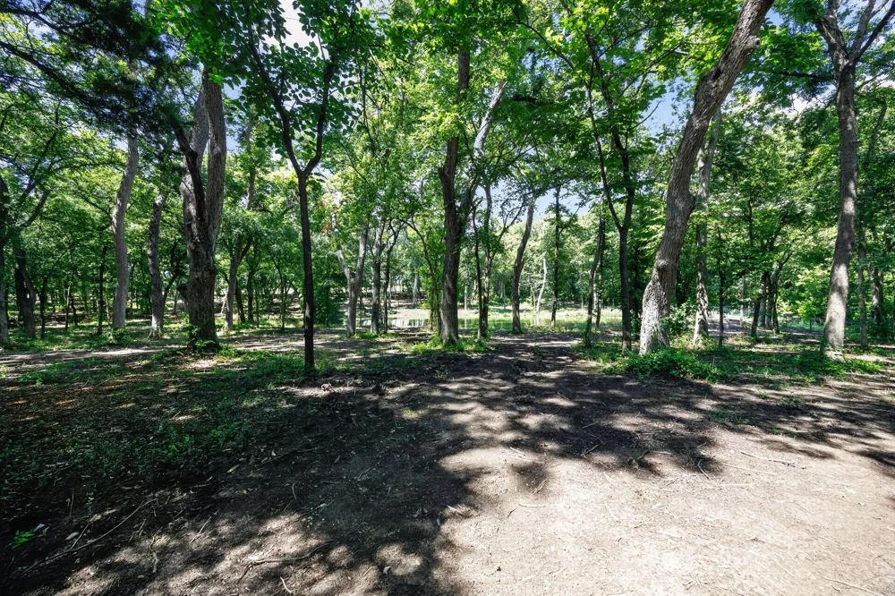 Willy Vester Off Of Road Van Alstyne, TX 75495