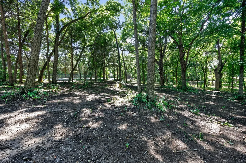 Willy Vester Off Of Road Van Alstyne, TX 75495