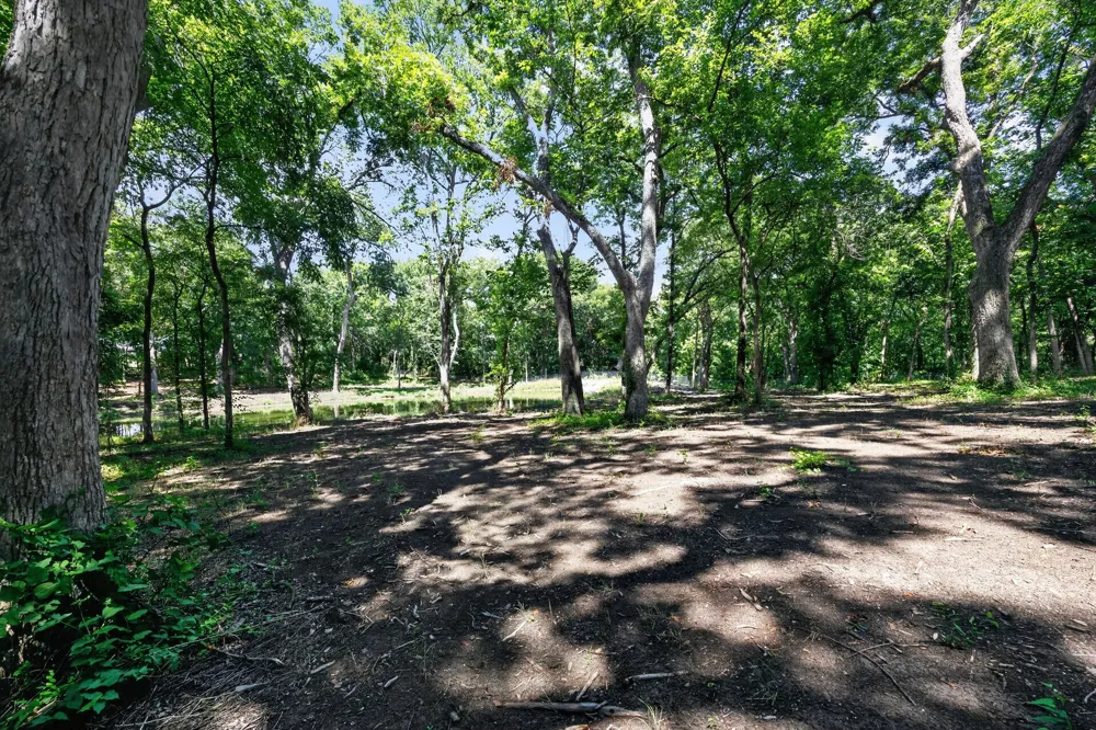 Willy Vester Off Of Road Van Alstyne, TX 75495