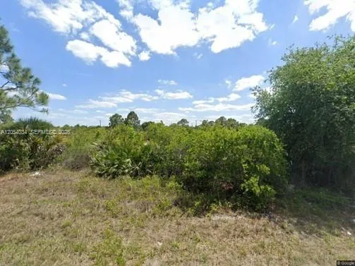 2905 W 55 STREET Lehigh Acres, FL 33971