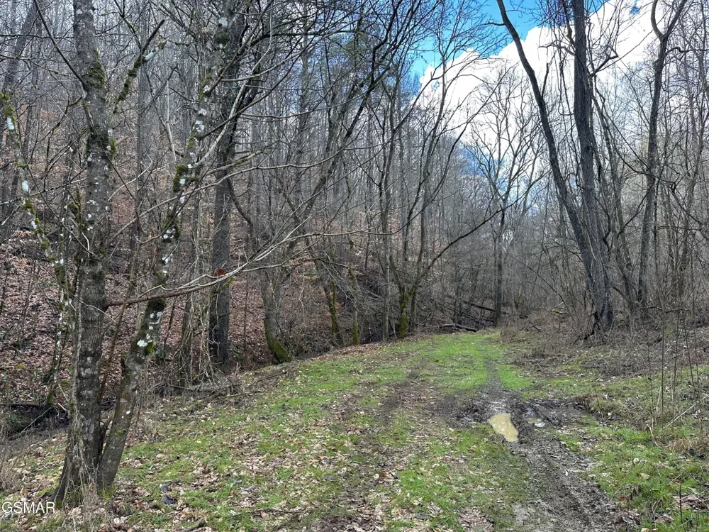 0 Leatherwood Road Sevierville, TN 37876