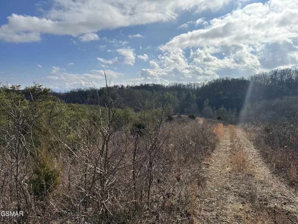 0 Leatherwood Road Sevierville, TN 37876