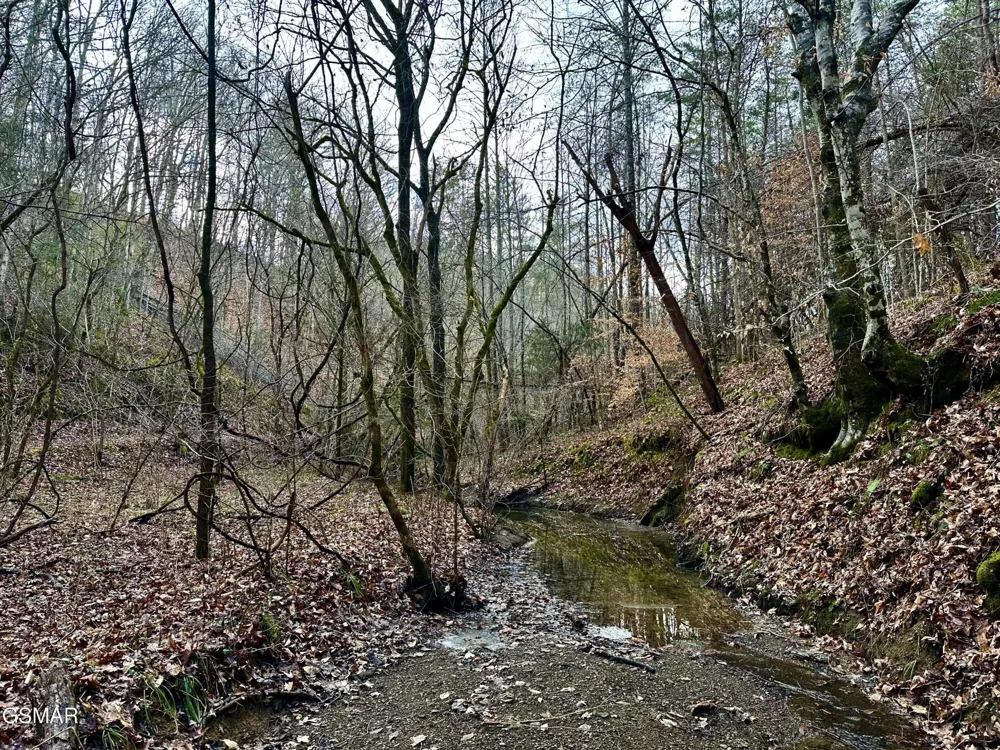 0 Leatherwood Road Sevierville, TN 37876