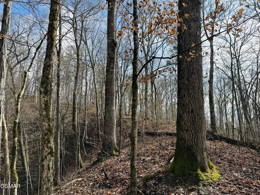 0 Leatherwood Road Sevierville, TN 37876