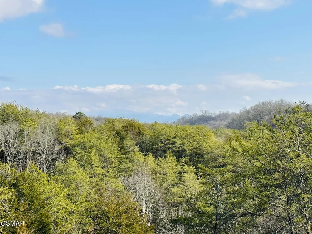 0 Leatherwood Road Sevierville, TN 37876
