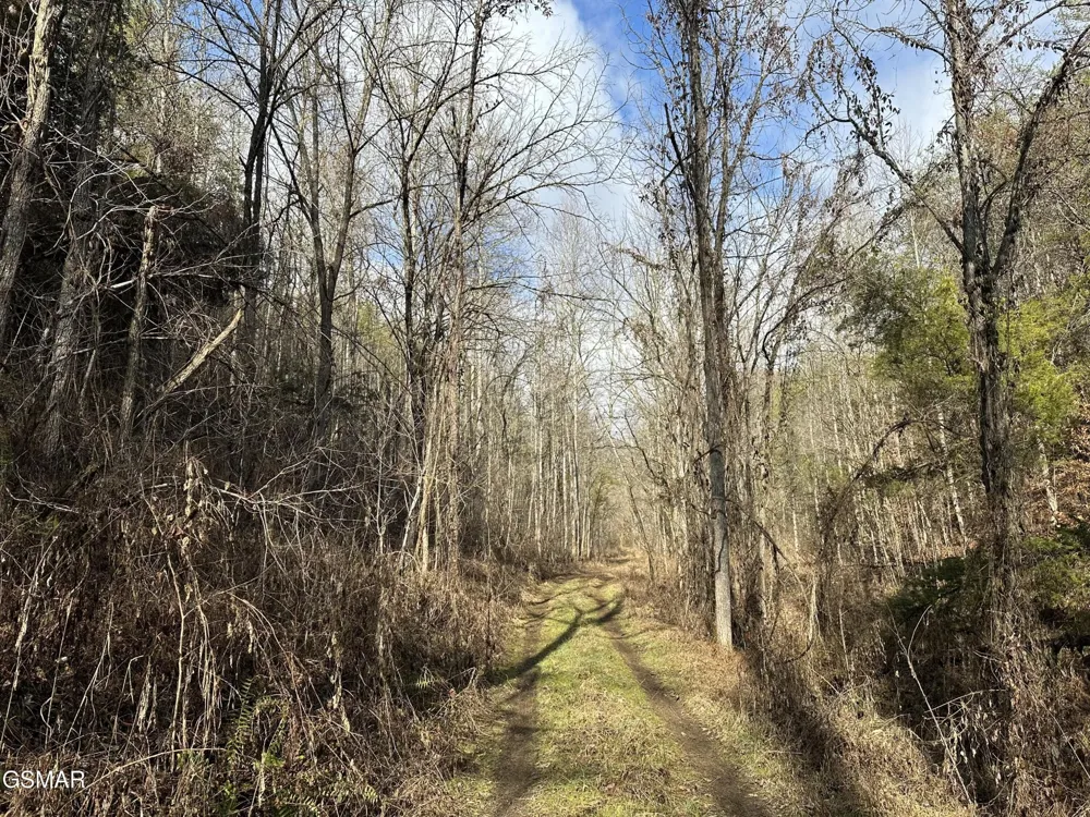 0 Leatherwood Road Sevierville, TN 37876