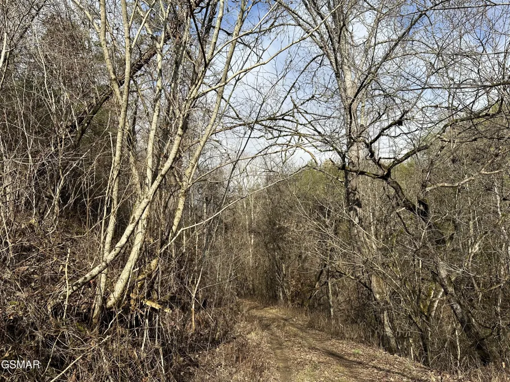 0 Leatherwood Road Sevierville, TN 37876