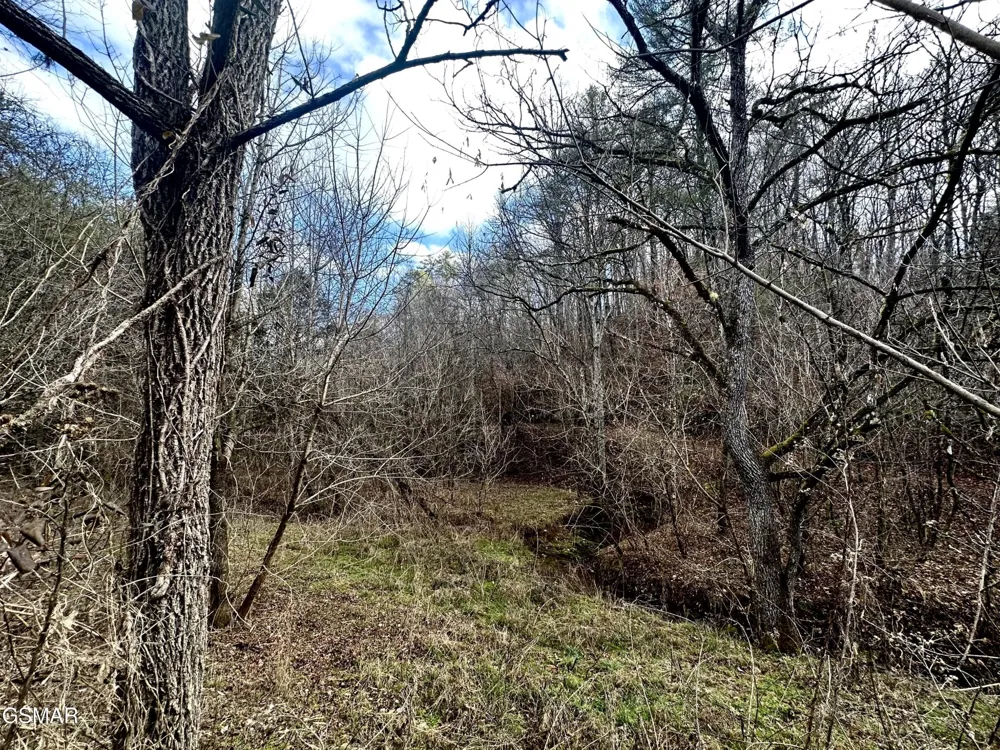 0 Leatherwood Road Sevierville, TN 37876
