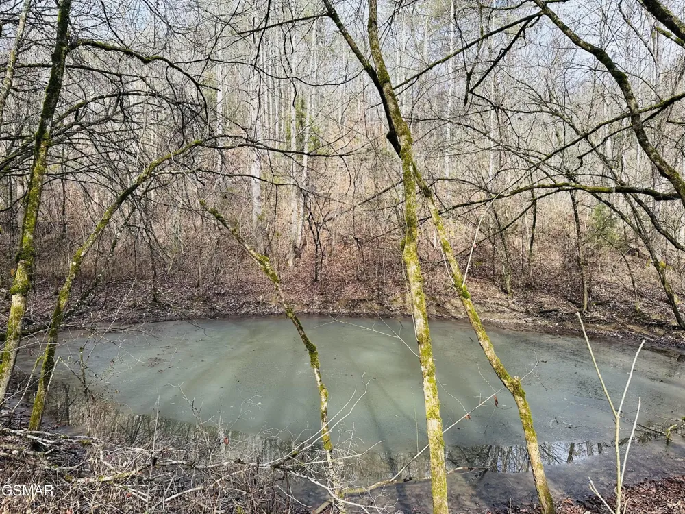 0 Leatherwood Road Sevierville, TN 37876