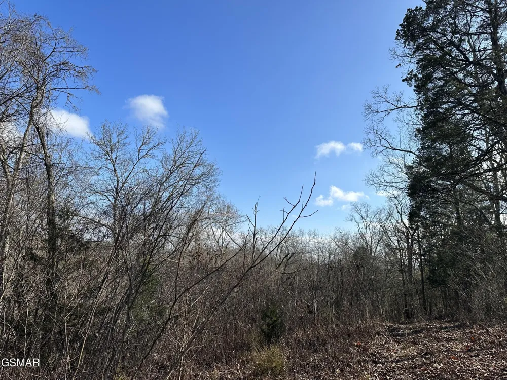 0 Leatherwood Road Sevierville, TN 37876