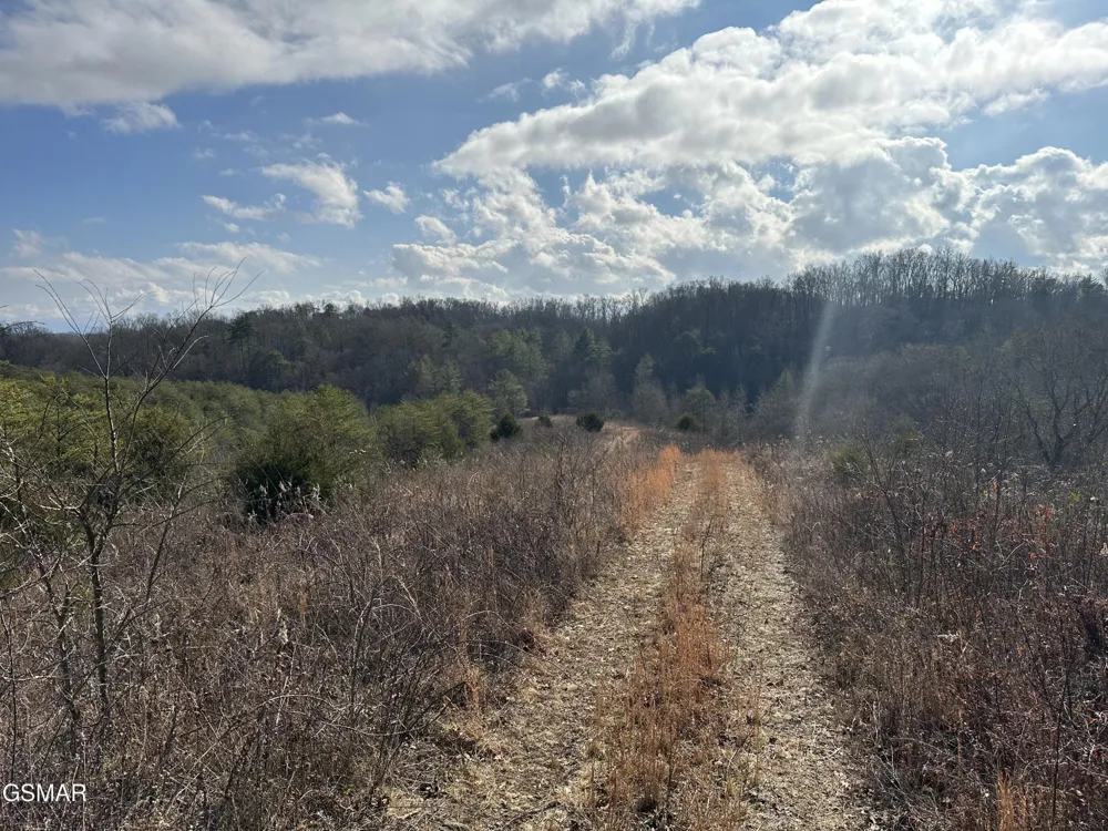 0 Leatherwood Road Sevierville, TN 37876