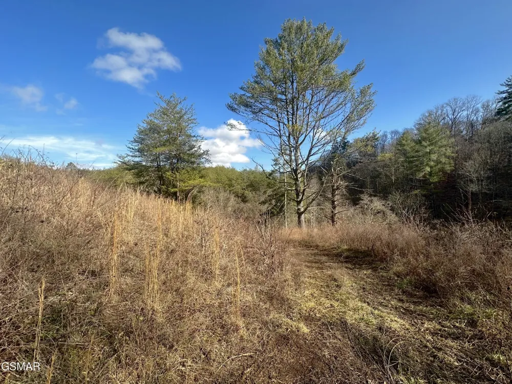 0 Leatherwood Road Sevierville, TN 37876