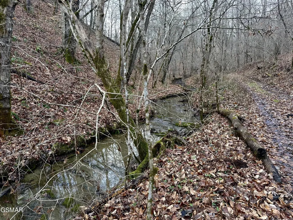 0 Leatherwood Road Sevierville, TN 37876