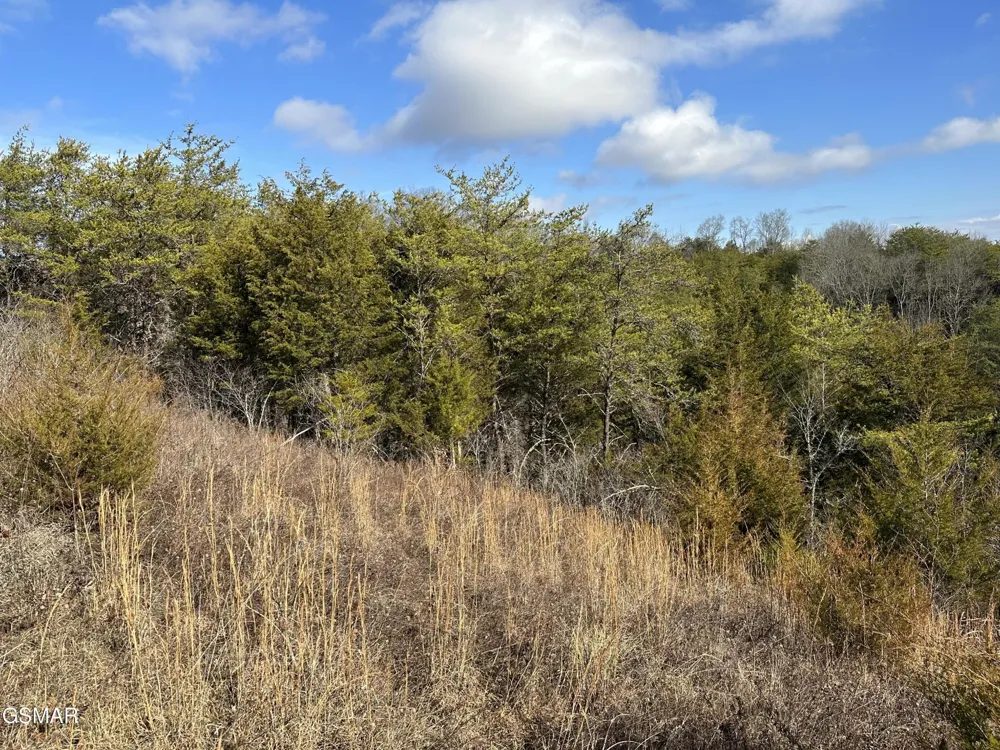 0 Leatherwood Road Sevierville, TN 37876