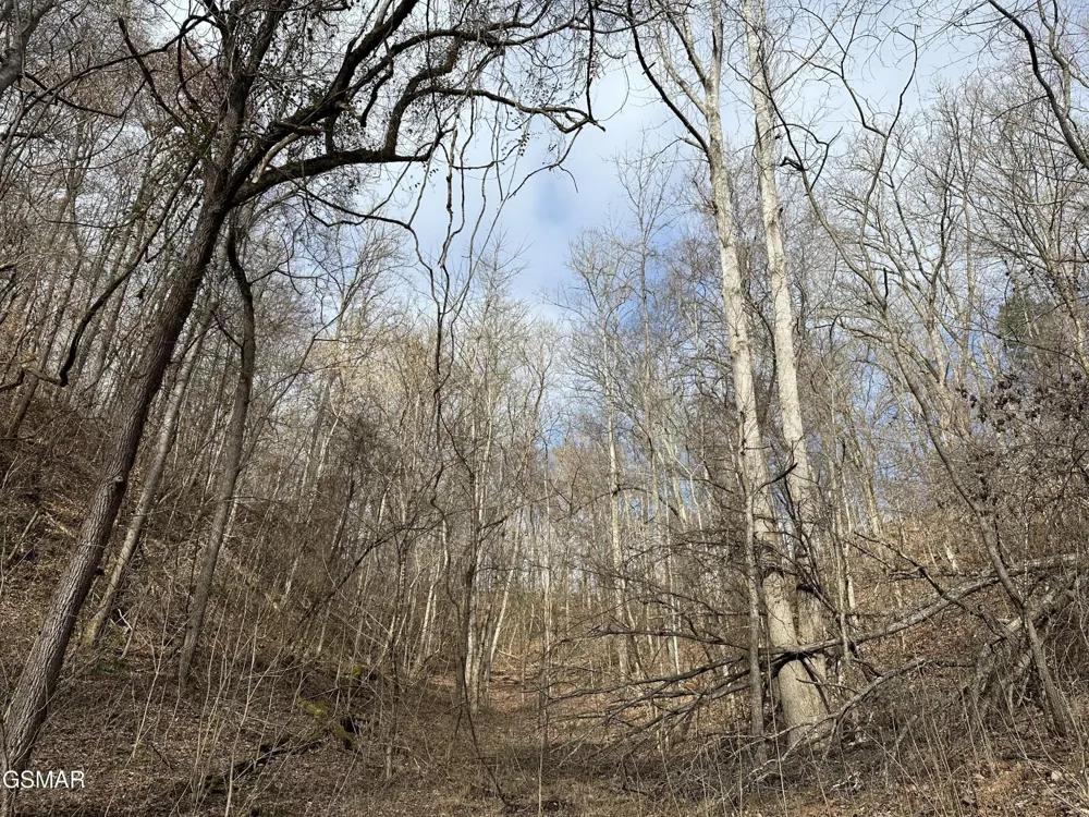 0 Leatherwood Road Sevierville, TN 37876