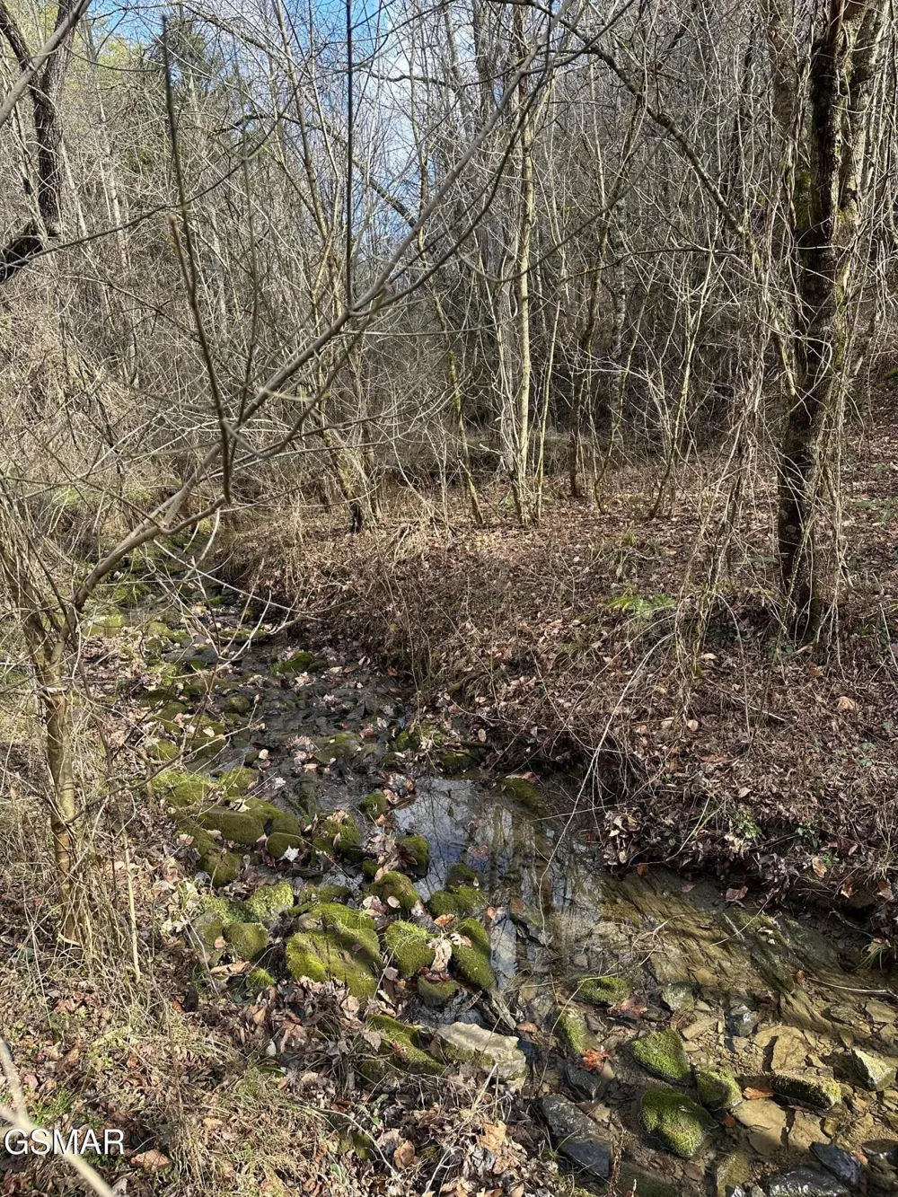 0 Leatherwood Road Sevierville, TN 37876