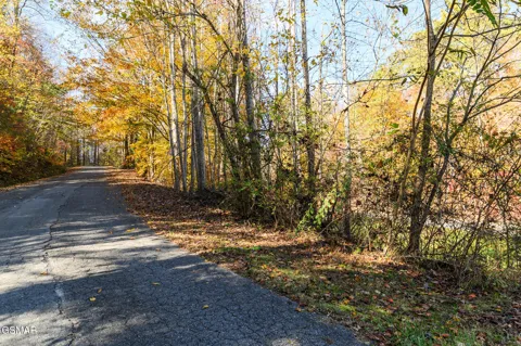 1 Jones Cove Road