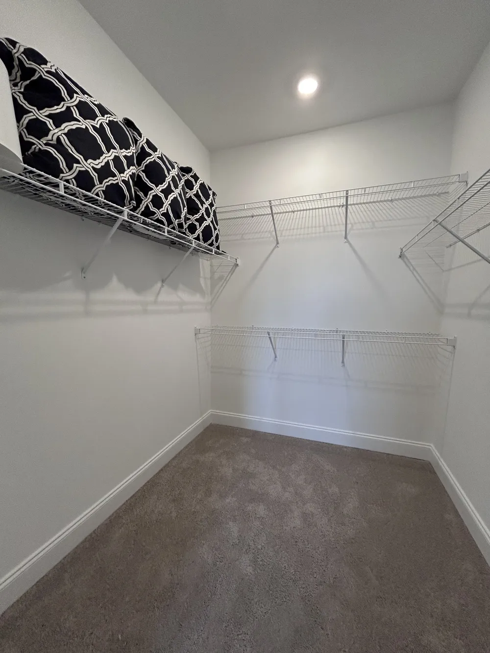 2101 Branford Pl #203 Thompsons Station, TN 37179
