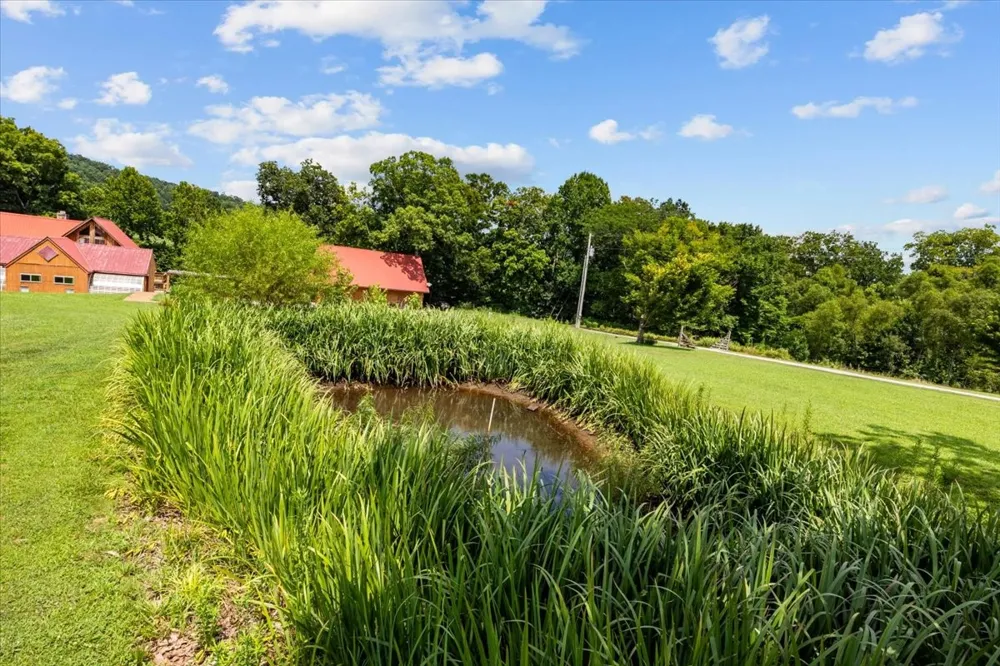4060 Dyer Rd Hurricane Mills, TN 37078