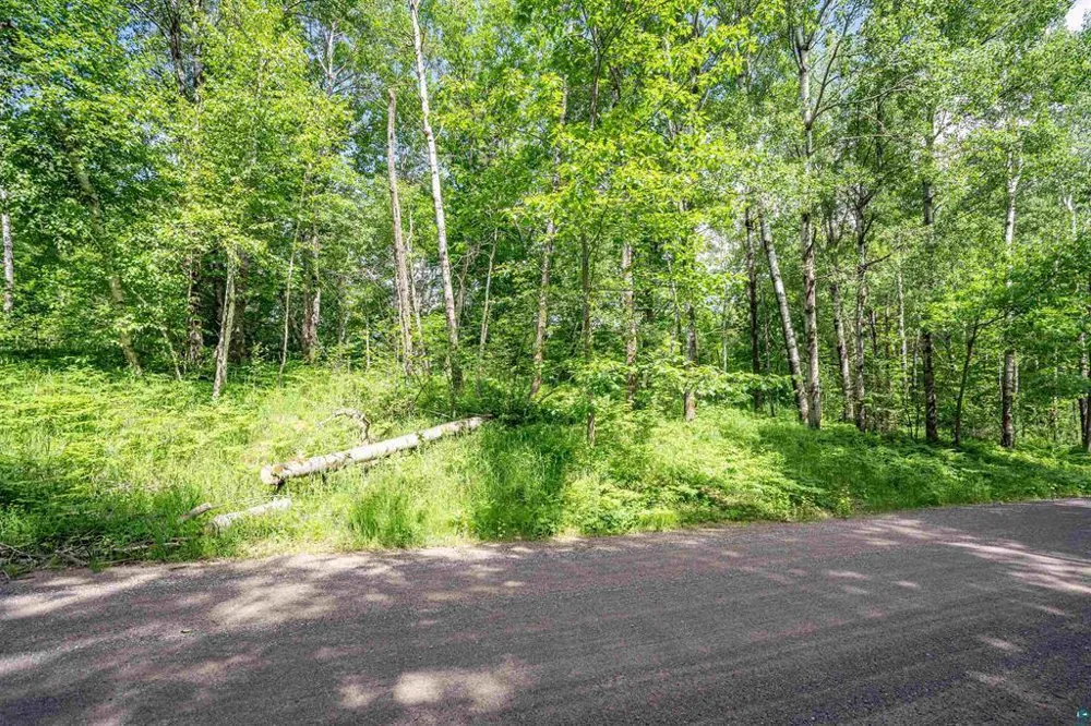 2XXX Bent Trout Lake Rd Barnum, MN 55707
