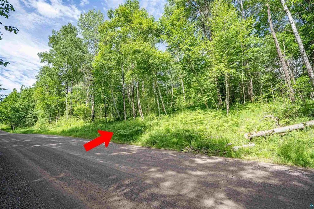 2XXX Bent Trout Lake Rd Barnum, MN 55707