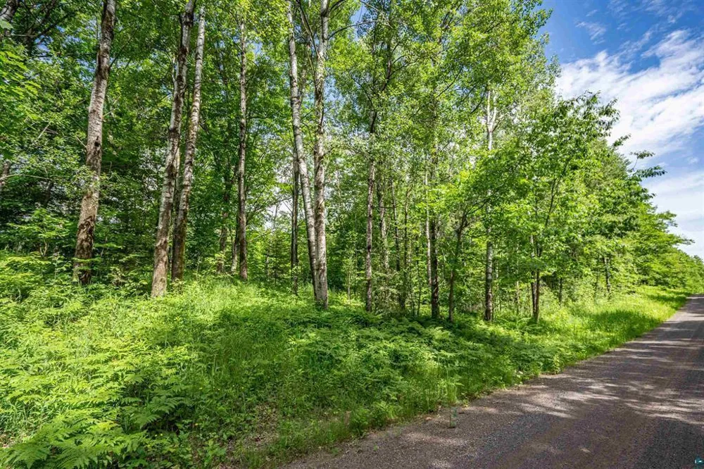 2XXX Bent Trout Lake Rd Barnum, MN 55707