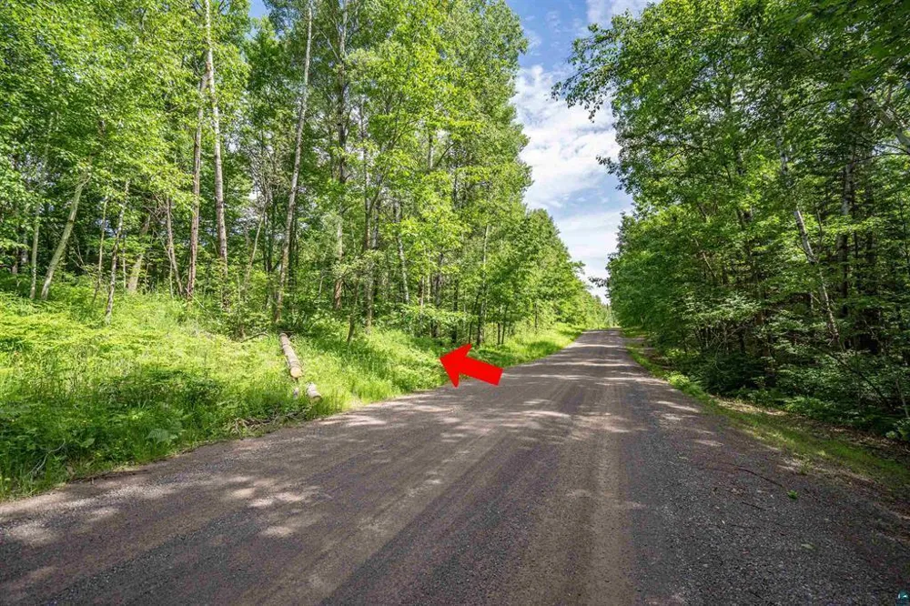 2XXX Bent Trout Lake Rd Barnum, MN 55707