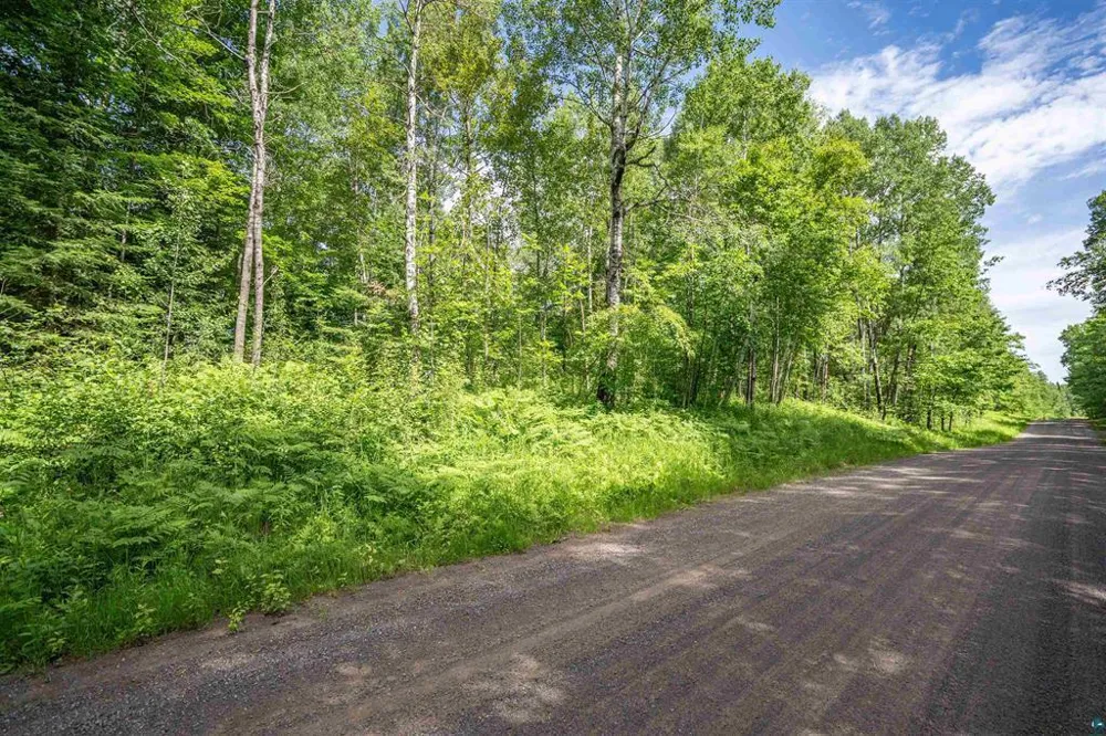 2XXX Bent Trout Lake Rd Barnum, MN 55707
