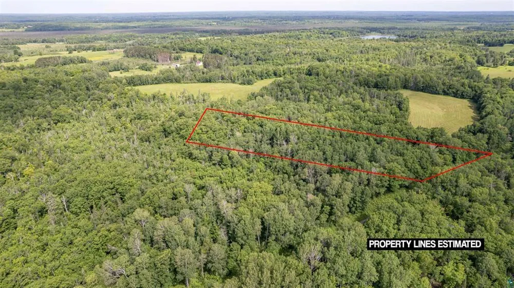 2XXX Bent Trout Lake Rd Barnum, MN 55707