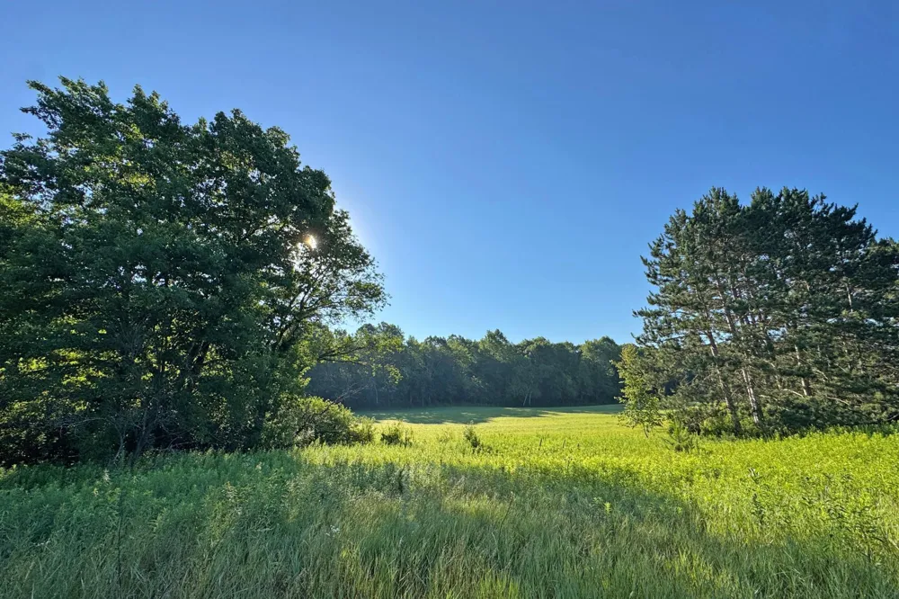 1298 210th Avenue Ogilvie, MN 56358