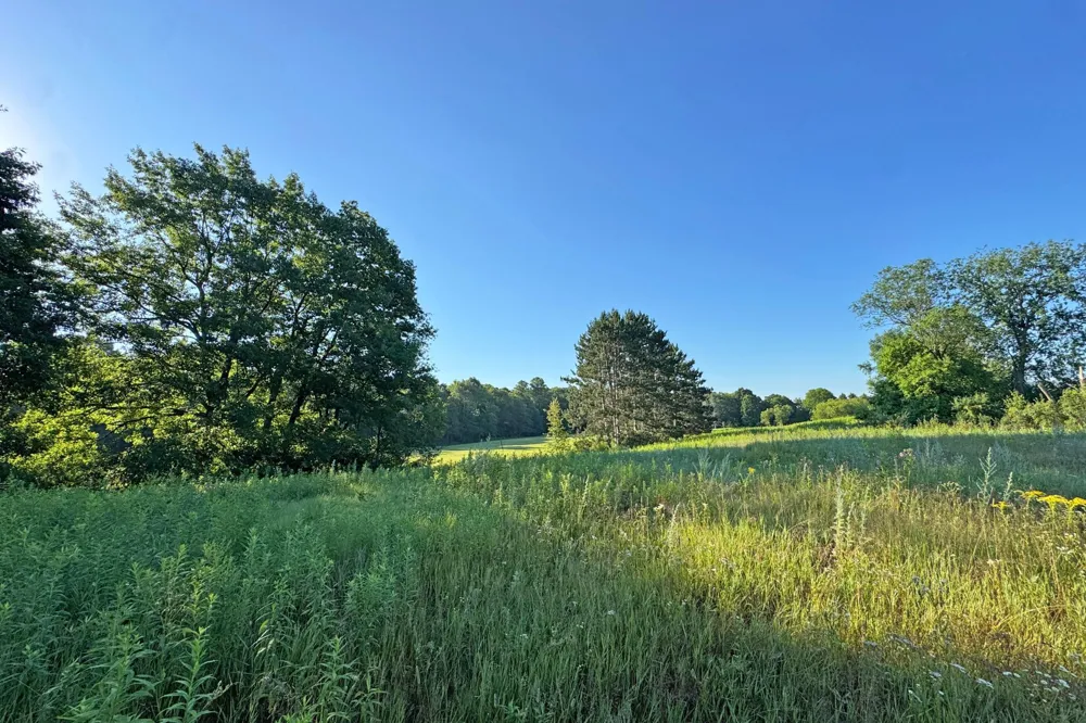 1298 210th Avenue Ogilvie, MN 56358