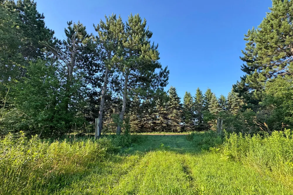1298 210th Avenue Ogilvie, MN 56358