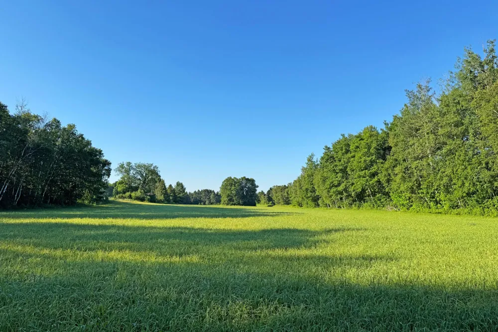 1298 210th Avenue Ogilvie, MN 56358