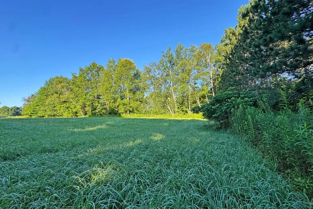 1298 210th Avenue Ogilvie, MN 56358