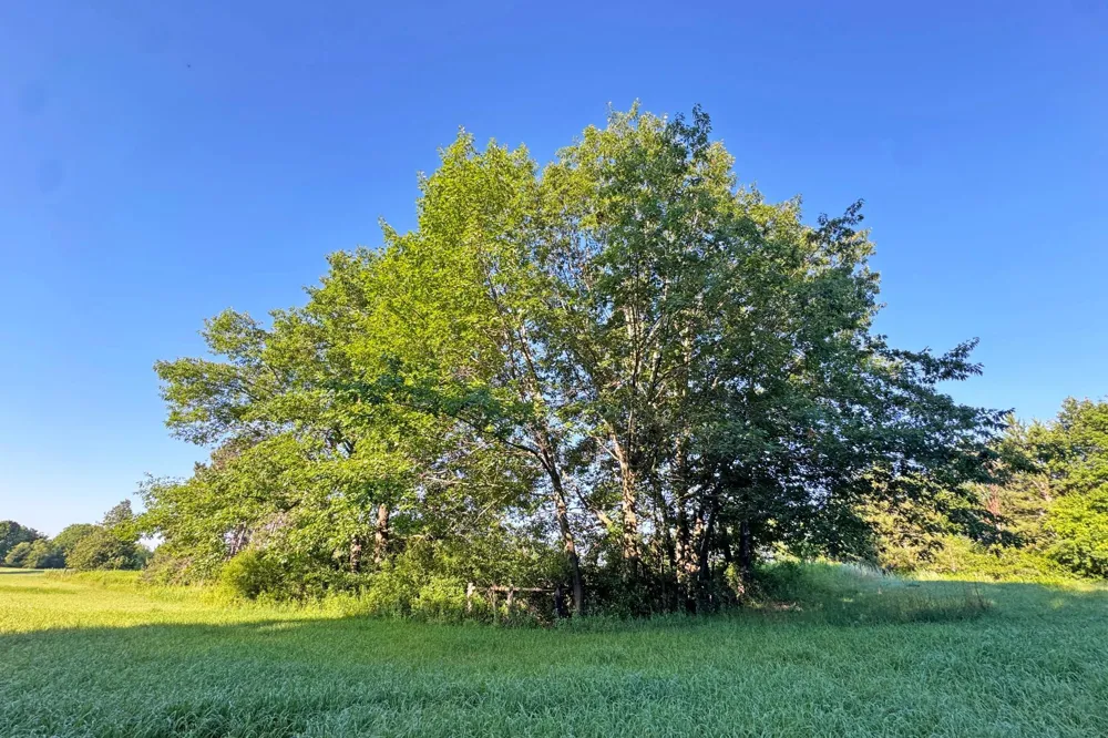 1298 210th Avenue Ogilvie, MN 56358