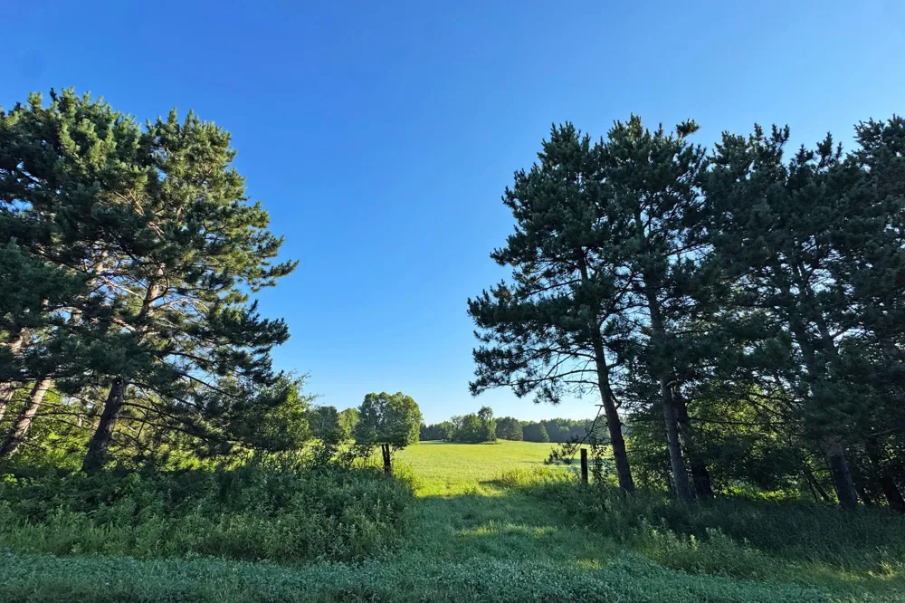 1298 210th Avenue Ogilvie, MN 56358