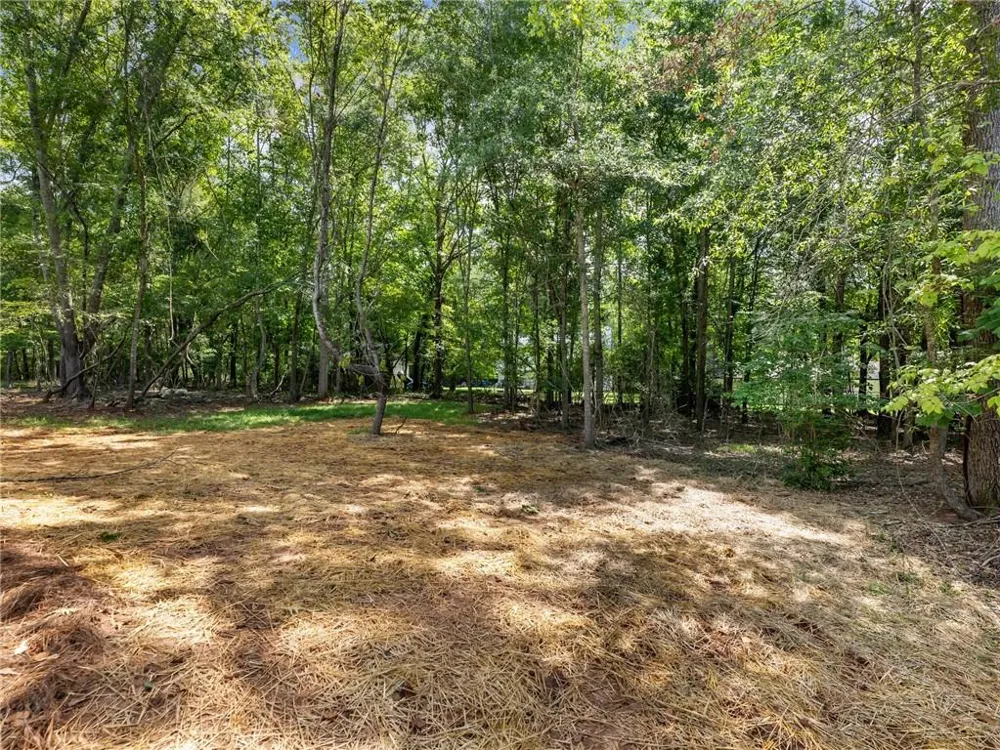 8083 Beachwood Drive Murrayville, GA 30564