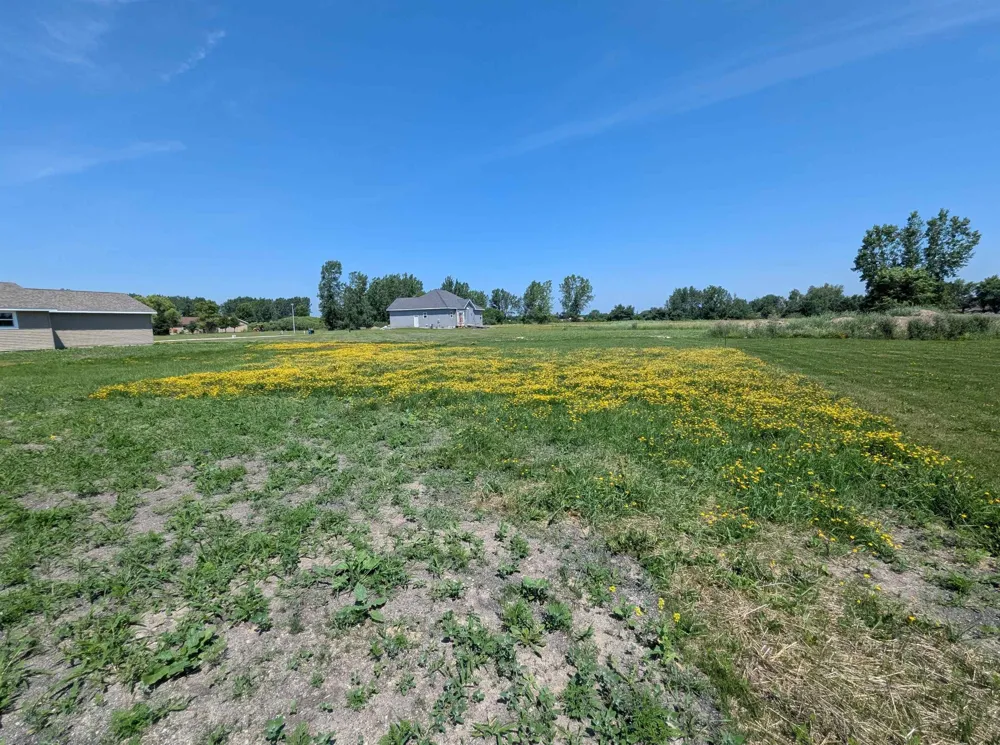 263 Stern Drive Au Gres Township, MI 48703
