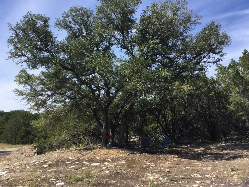 21100 Ringtail Cove Lago Vista, TX 78645