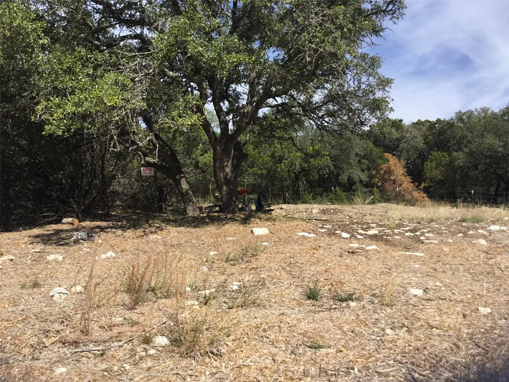 21100 Ringtail Cove Lago Vista, TX 78645