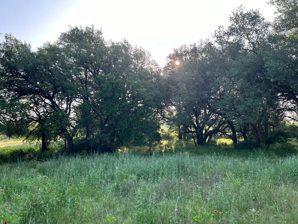 S Hwy 16 Comanche, TX 76442