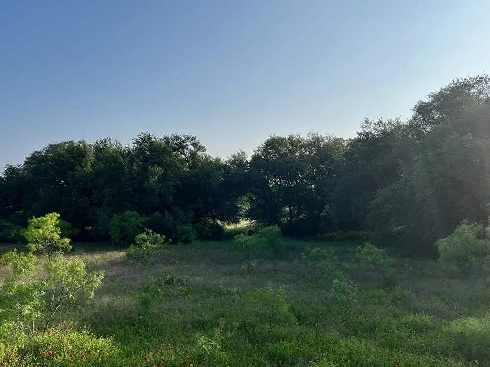 S Hwy 16 Comanche, TX 76442