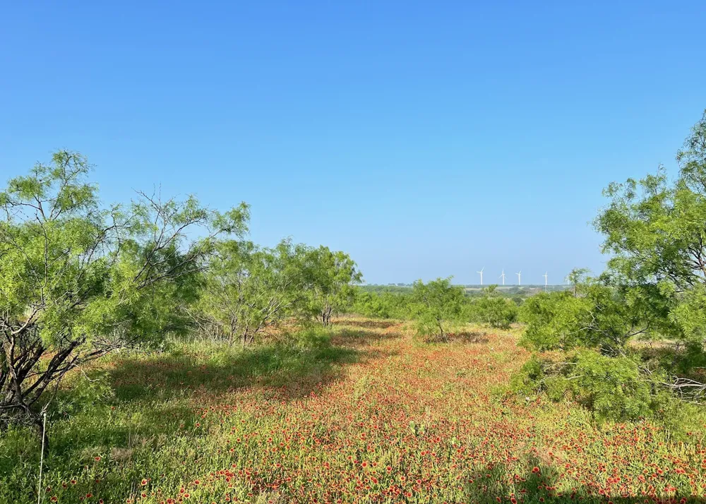 S Hwy 16 Comanche, TX 76442