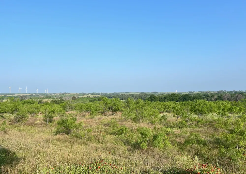 S Hwy 16 Comanche, TX 76442