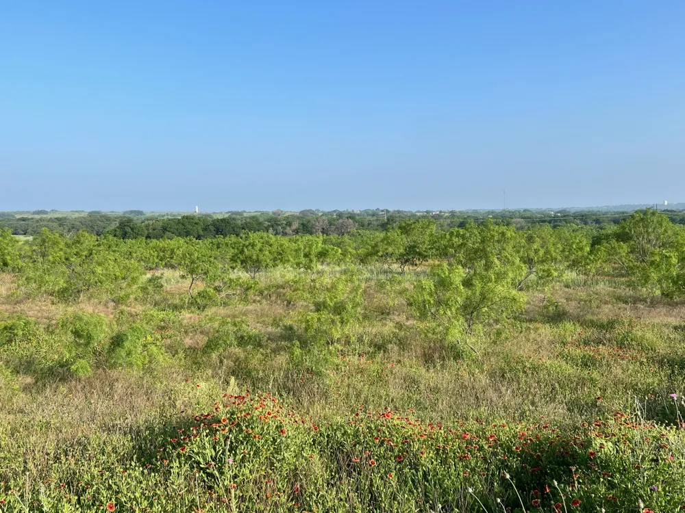S Hwy 16 Comanche, TX 76442