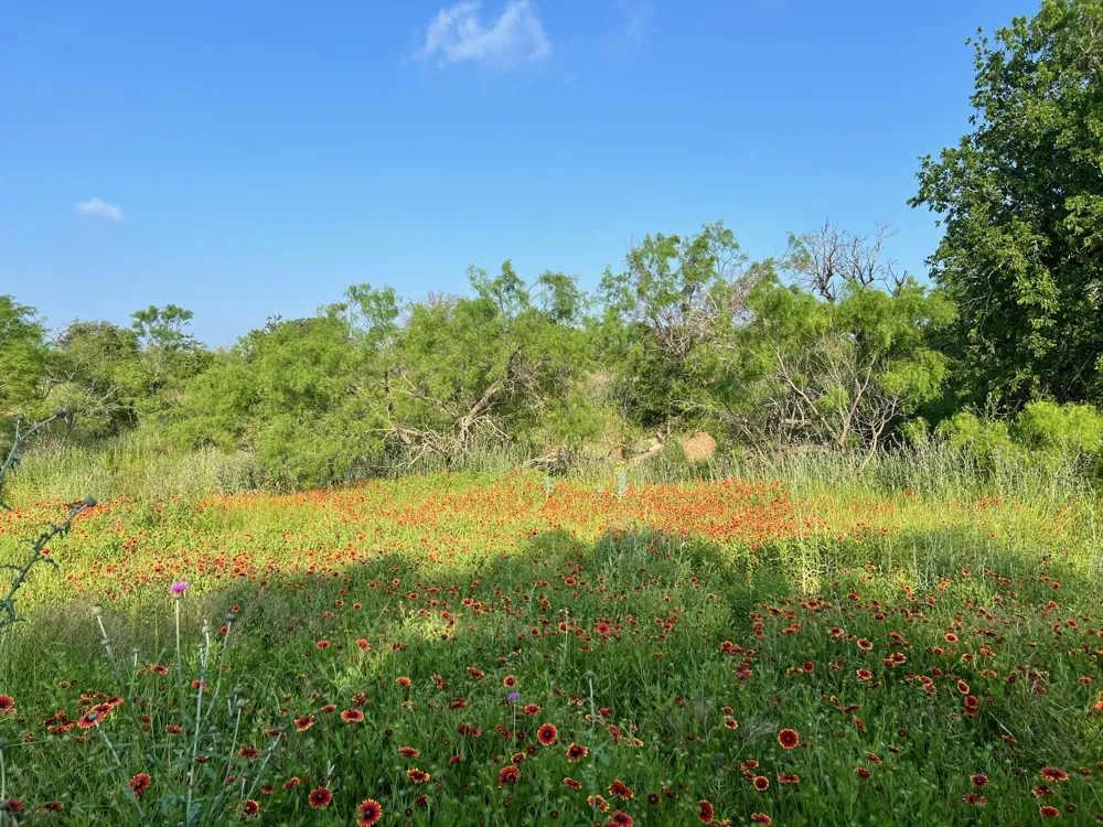 S Hwy 16 Comanche, TX 76442